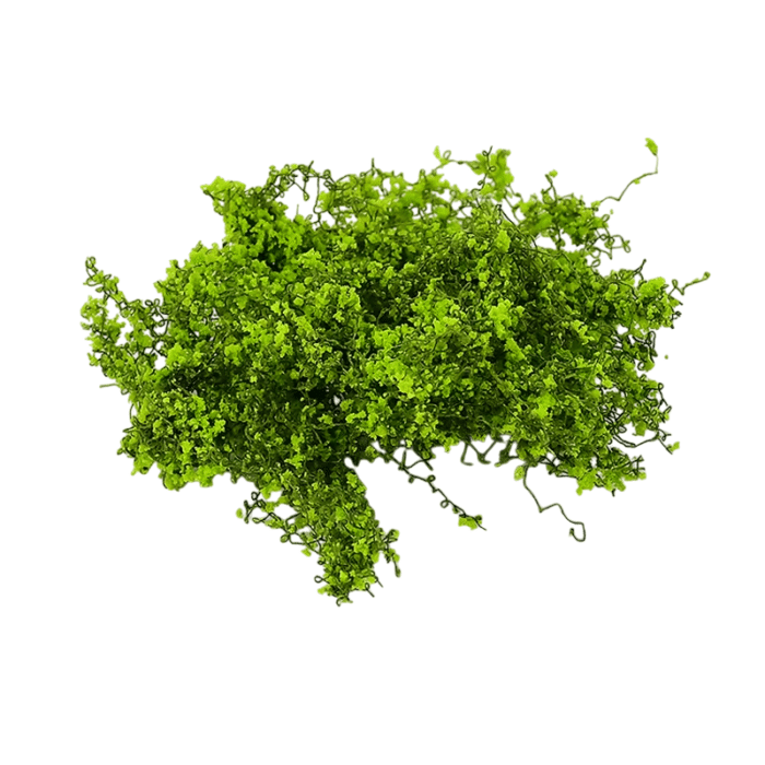 f1c2be48-5ccb-4d56-a37a-7471eeff0d61-Photoroom