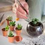 Miniature terracotta pots 4