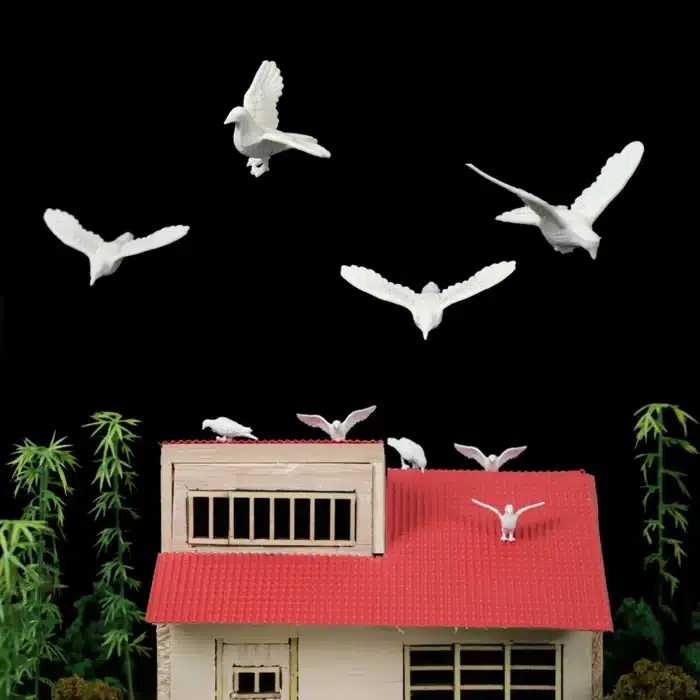 pigeon miniature 4