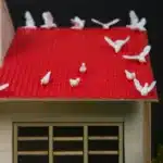 pigeon miniature 1