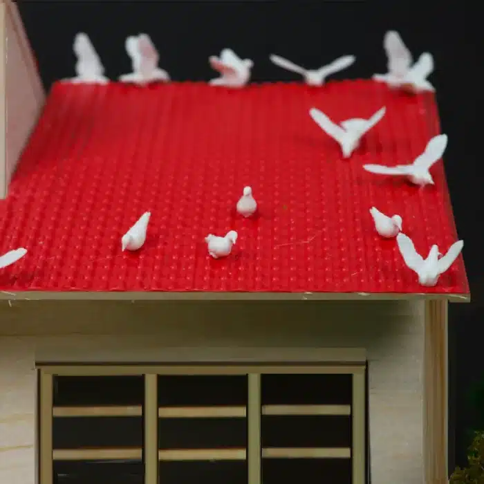 pigeon miniature 1