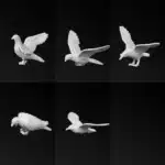 pigeon miniature 5