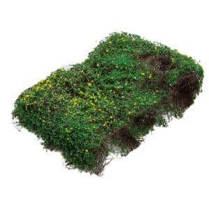 Vigne miniature pour maquette