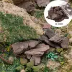 Rochers en écorce pour modélisme 2