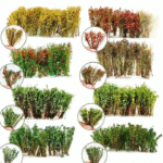 234666842_cleanup (1)