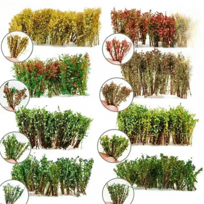 234666842_cleanup (1)