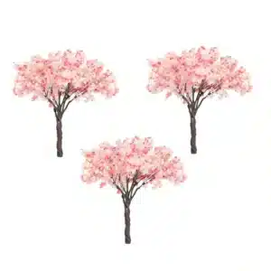 cerisier du japon miniature​ 4