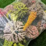 arbres à fleurs pour miniatures 5