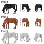 Figurines chevaux miniatures 1/43 4