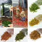 Feuillage pour maquette 1