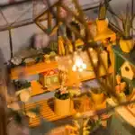 Maquette serre miniature 3