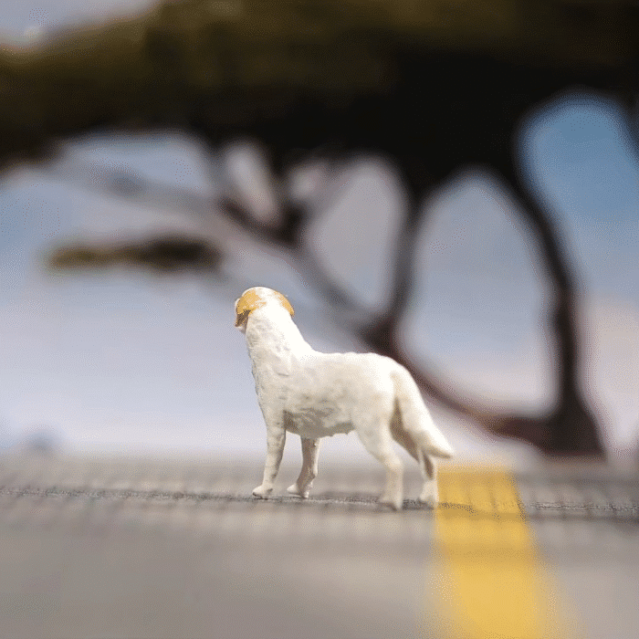 S1c65379b56964fdf96fafd5a3cfb1f74I_cleanup