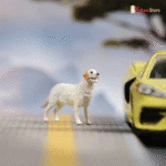 S7d653e4ea3f54efe9b31adae8e8a874bC_cleanup