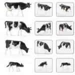 Vaches de ferme en noir et blanc, 36 pièces, échelle 1:87, bien peintes, avec un troupeau de contribuables AN8720 4