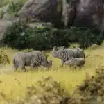 figurines rhinoceros 1/87 7