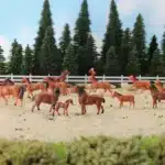Figurines chevaux​ marrons HO 4