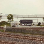 Gemini_Generated_Image_cuj8yvcuj8yvcuj8