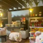 lustres miniatures​ S HO 4