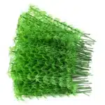 lot bambou maquette 4