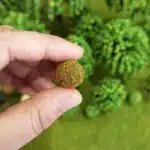 arbustes miniatures 14