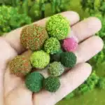 arbustes miniatures 5