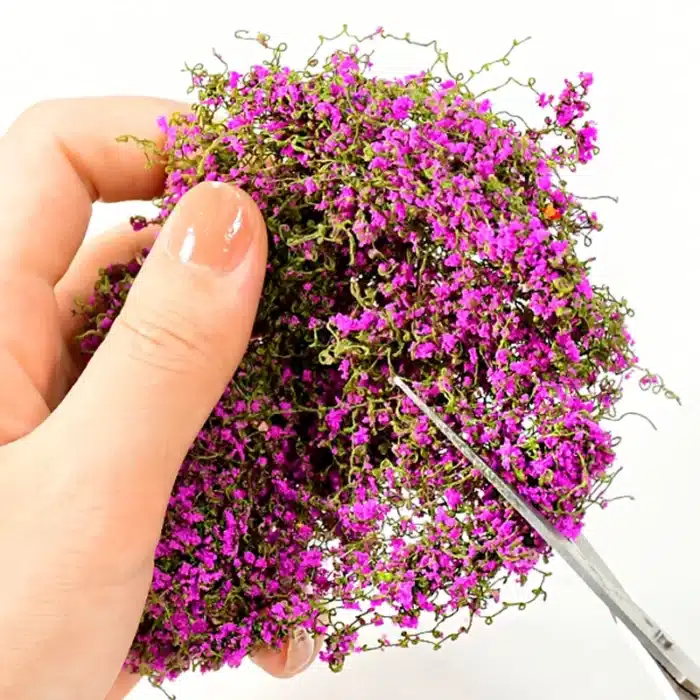 Vignes fleuries pour maquette 3