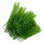 lot bambou maquette 2