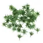 Plantes basses maquette 5