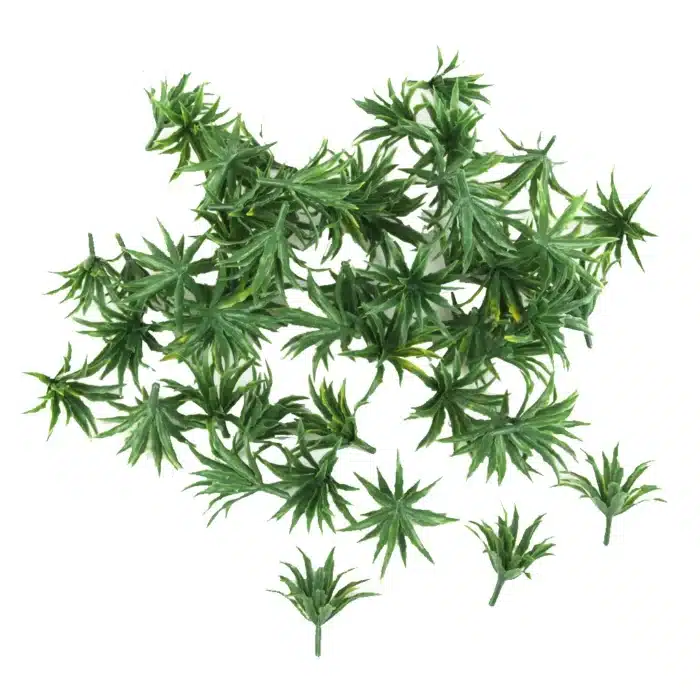 Plantes basses maquette 5