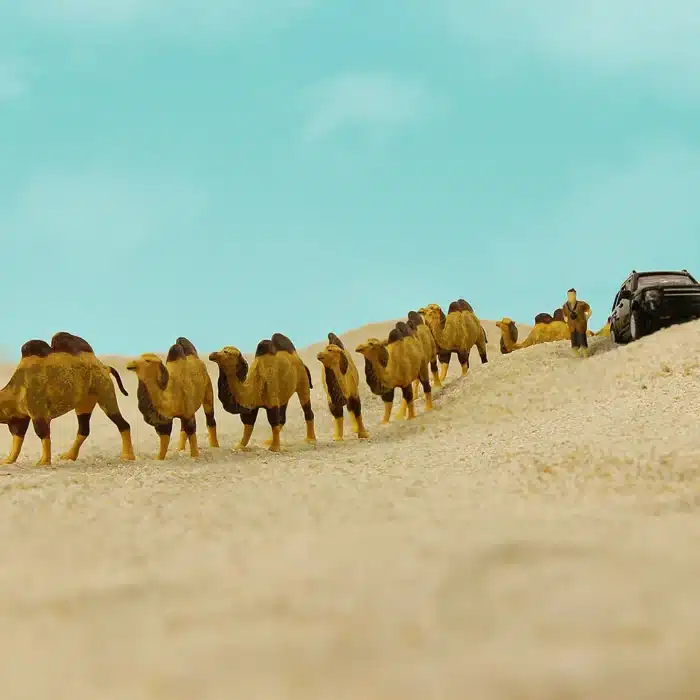 Figurines dromadaires 1/87 6