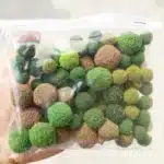 Lot de 10 arbustes miniatures 1