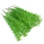 lot bambou maquette 3