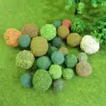 arbustes miniatures 4