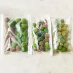 arbustes miniatures 7