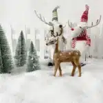 Poudre de neige artificielle 5
