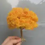 Arbres miniatures jaunes 9