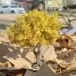 Arbres miniatures jaunes 5