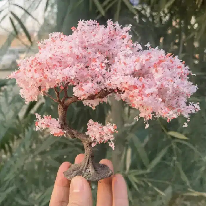 Arbres cerisiers miniatures 26