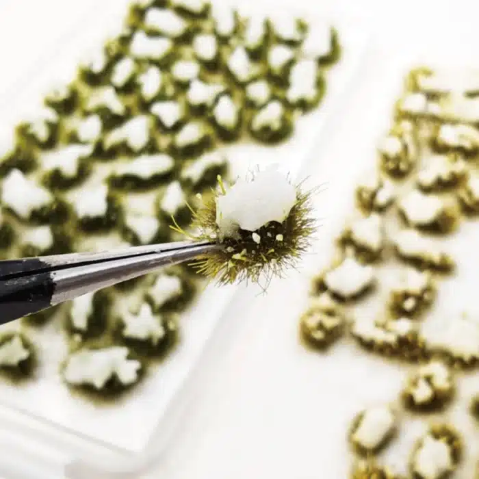Herbes enneigés miniatures 1