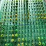 Arbres fleuris miniatures 2