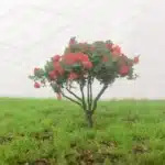 arbres à fleurs pour miniatures 5 cm 2