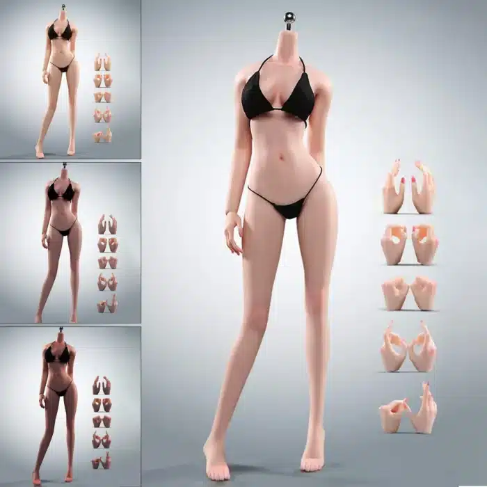 Corps féminin 1/6 4